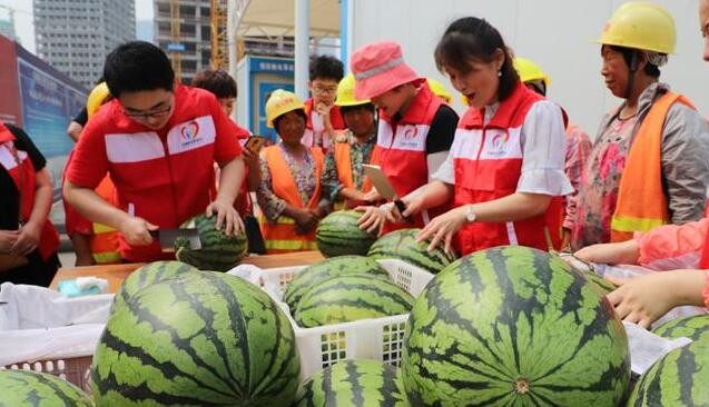 “菜百企业2015年100365首善行动捐助仪式在京举行”
